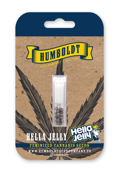 Hella Jelly Autoflower Seeds by Humboldt Seed Company - Image 2