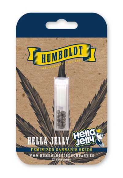 Hella Jelly Feminized Seeds by Humboldt Seed Company - Image 3