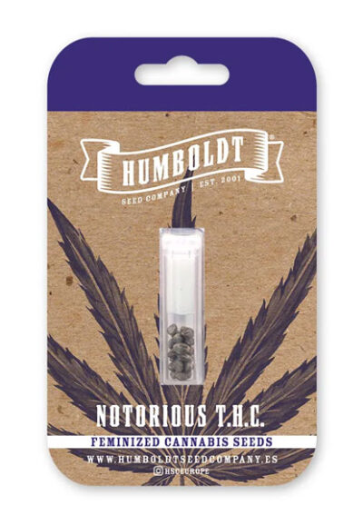 Notorious THC Feminized Seeds by Humboldt Seed Company - Image 2