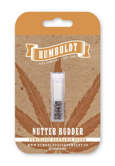 Nutter Budder Feminized Seeds by Humboldt Seed Company - Image 2