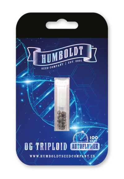 OG Triploid Autoflower Seeds by Humboldt Seed Company - Image 2