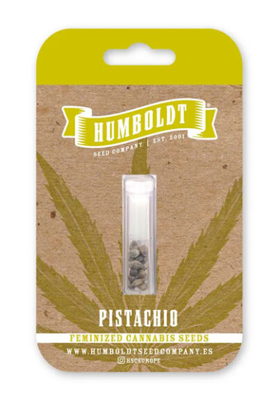 Pistachio Feminized Seeds by Humboldt Seed Company - Image 2