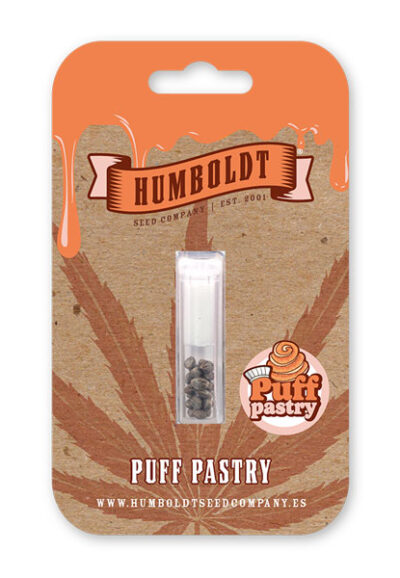 Puff Pastry Feminized Seeds by Humboldt Seed Company - Image 2