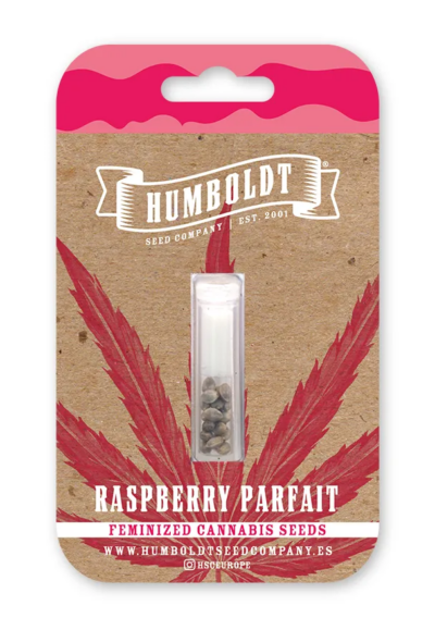 Raspberry Parfait Feminized Seeds by Humboldt Seed Company - Image 2