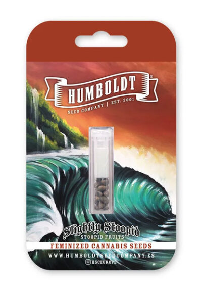 Slightly Stoopid Fruits Feminized Seeds by Humboldt Seed Company - Image 2