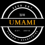 Sunset Lime Feminized Seeds by Umami Seed Company
