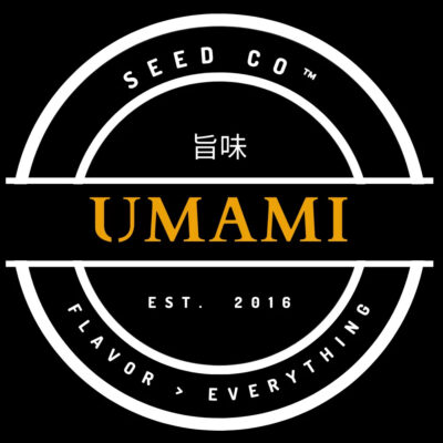 Purple Ink Feminized Seeds by Umami Seed Company - Image 2
