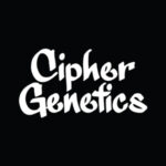 Dopamine x Blue Lobster Feminized Seeds by Cipher Genetics
