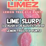 Lime Slurpi Feminized Seeds by Triploid Genetics
