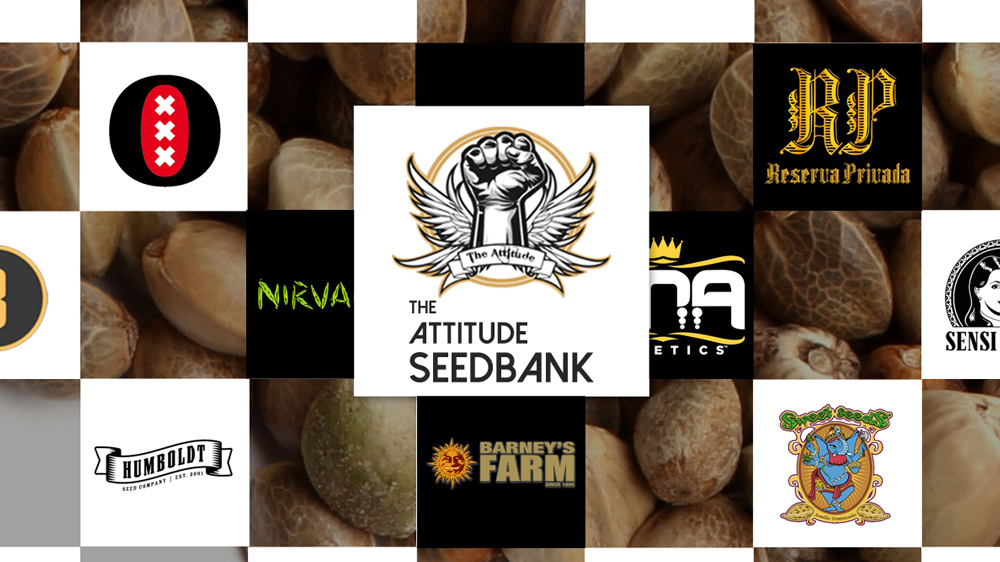 Attitude Seedbank Top Strains