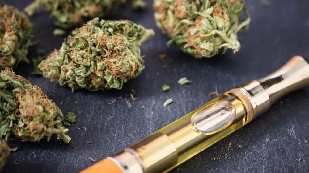 Hybrid Hemp Genetics