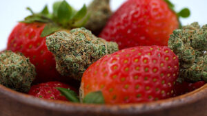 Strawberry Whip