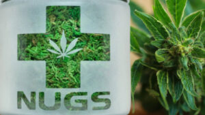 Herbal Medicine Future