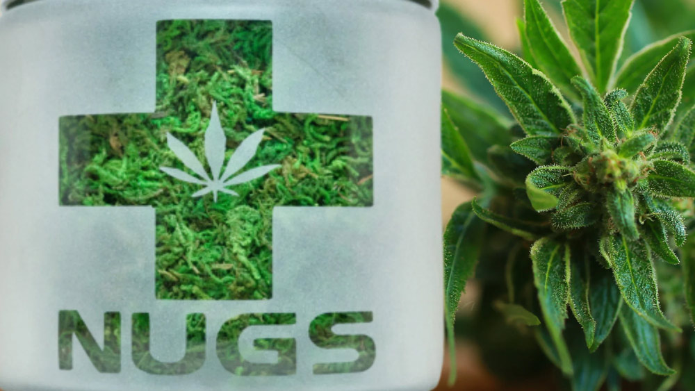 Herbal Medicine Future