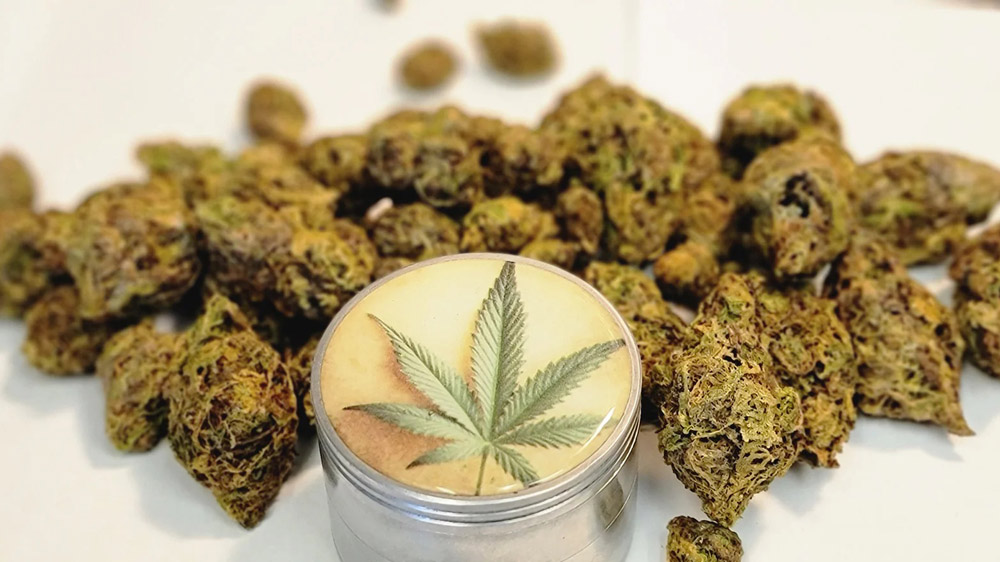 Herbal Medicine Future