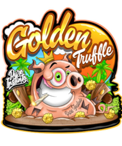 Golden Truffle Feminized Seeds by Pure Instinto - Image 2