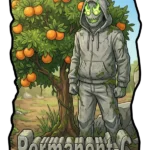Permanent-C Feminized Seeds by Robin Hood