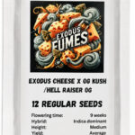 Exodus Fumes Regular Seeds by Conscious Genetics – Exodus Cheese x OG Kush Hell Raiser OG