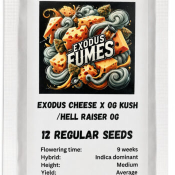 Exodus Fumes Regular Seeds by Conscious Genetics – Exodus Cheese x OG Kush Hell Raiser OG