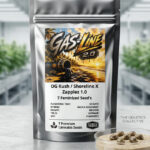 Gas-Line 2.0 Feminized Seeds by Conscious Genetics – OG Kush Shoreline x Zapplez 1.0