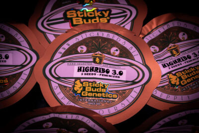 Highribo 3.0 Feminized Seeds by Sticky Buds Genetics - Image 2