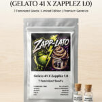 Zapp-Lato Feminized Seeds by Conscious Genetics – Zapplez 1.0 x Gelato #41