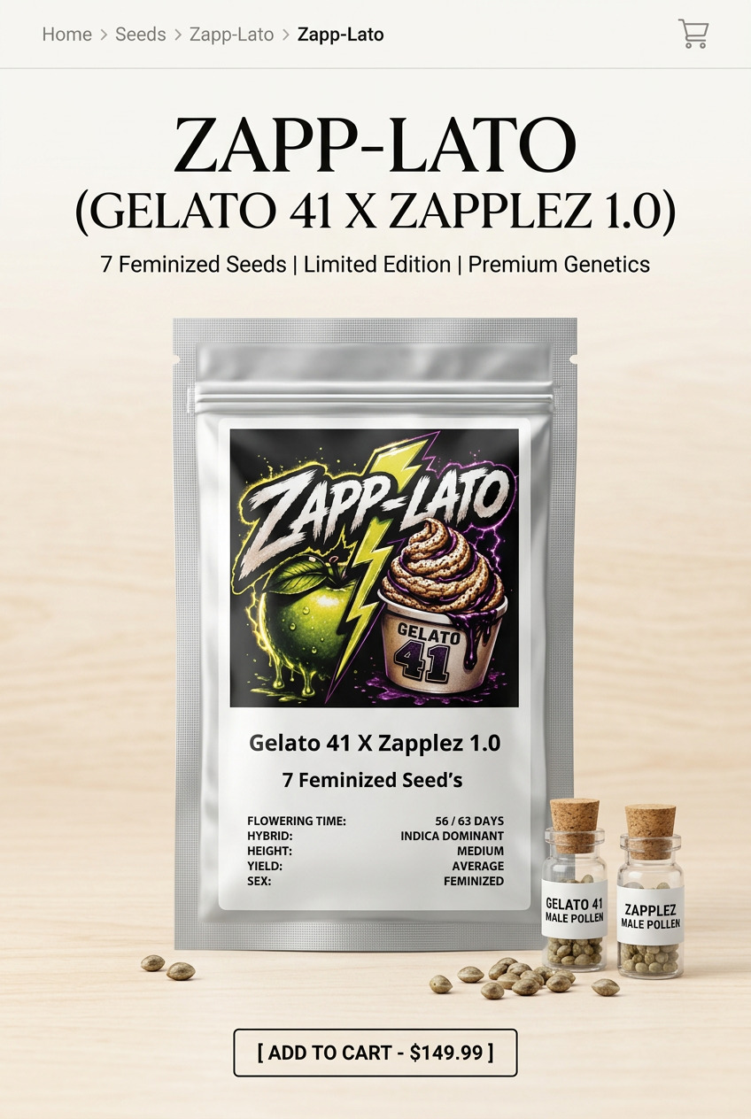 Zapp-Lato Zapp-Lato Feminized Seeds by Conscious Genetics – Zapplez 1.0 x Gelato #41