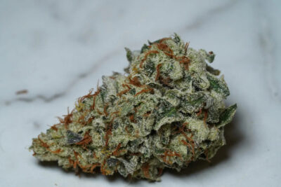 Highribo S1 Feminized Seeds by Sticky Buds Genetics - Image 2