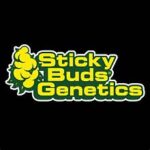 Sticky Buds Genetics Seeds – Premium Cannabis Genetics