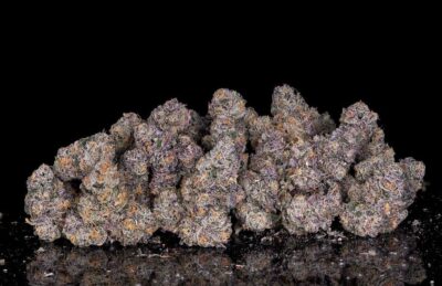Black Card Feminized Seeds by Cipher Genetics - Image 3