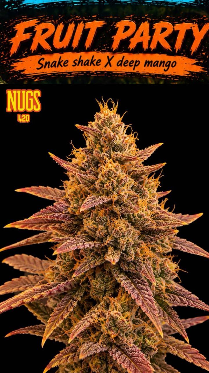Fruit Party Fruit Party Regular Seeds by Nugs 420 – Pars Planet