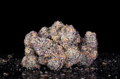 Black Card Feminized Seeds by Cipher Genetics - Image 2